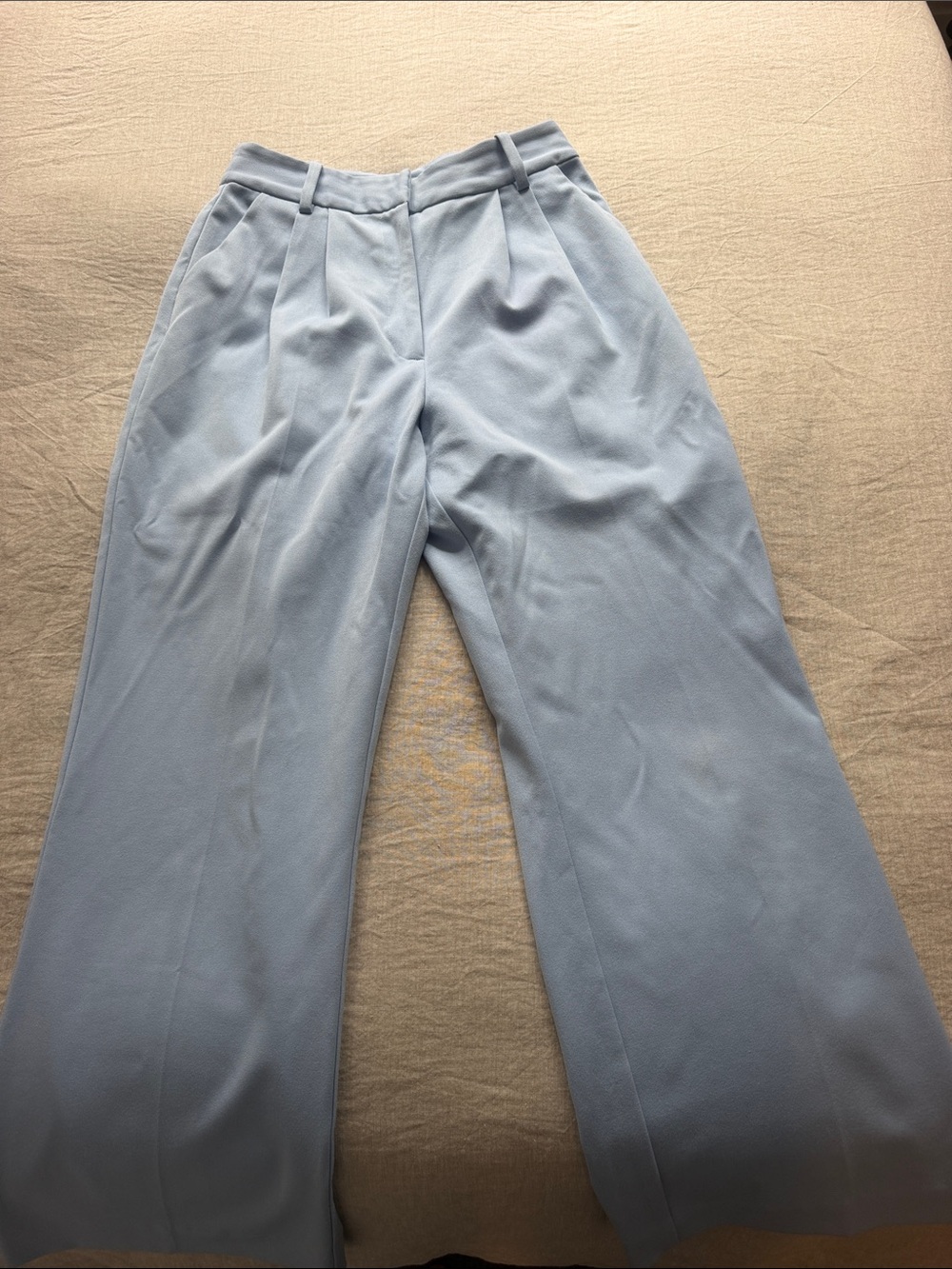 Favorite Daughter Pale Blue Wide-Leg Pleated Trousers